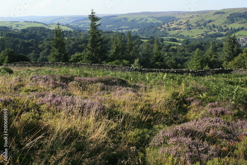 Nidderdale, Pateley Bridge, Yorkshire photo