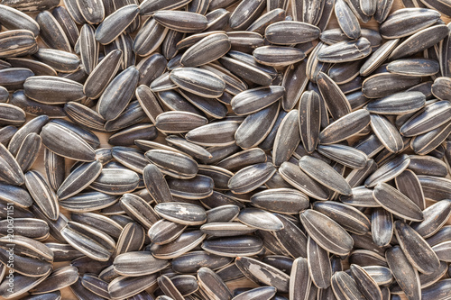 Close up, sunflower seeds in a wooden cup.