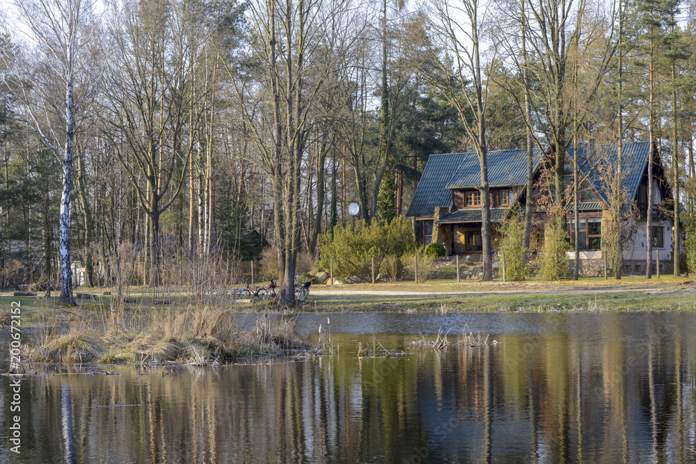 Lake and forest Lake and forest