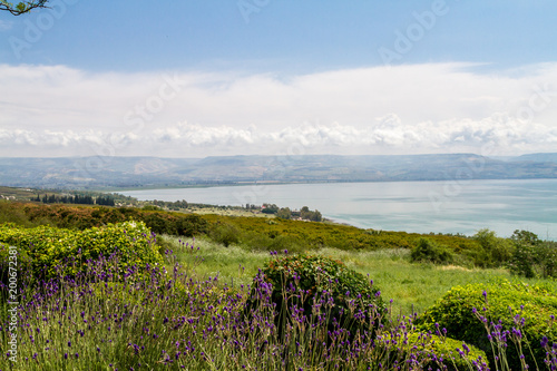 Panoramic view of the sea of Galilee the kinneret lake from the Mount of Beatitudes, Israel
