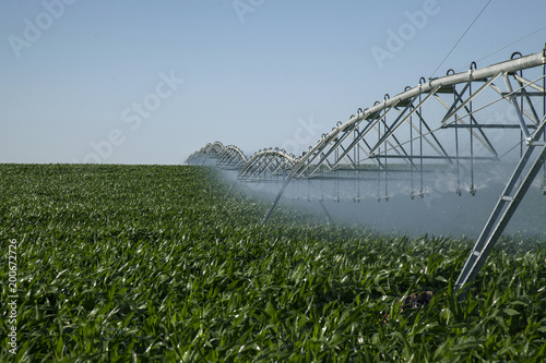 watering in the field
