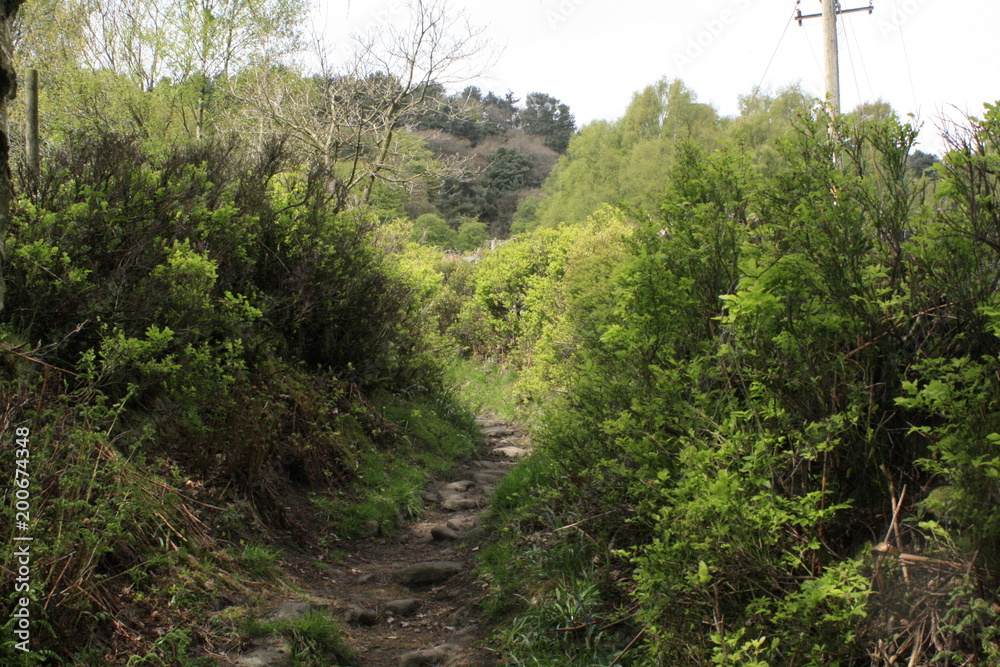 Fototapeta premium Hardcastle Crags, Yorkshire, England