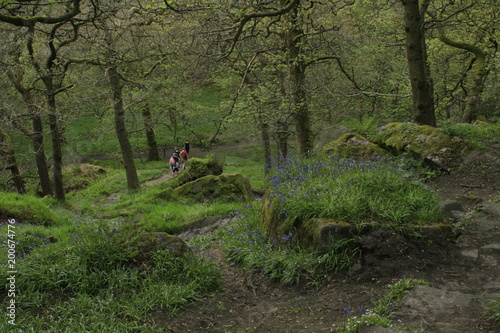 Hardcastle Crags, Yorkshire, England photo