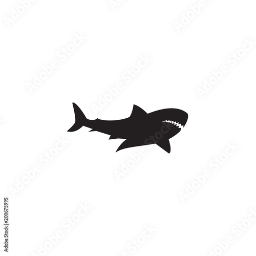 shark logo