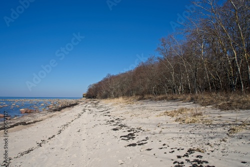 Fototapeta Naklejka Na Ścianę i Meble -  Spring landscape near Baltic Sea