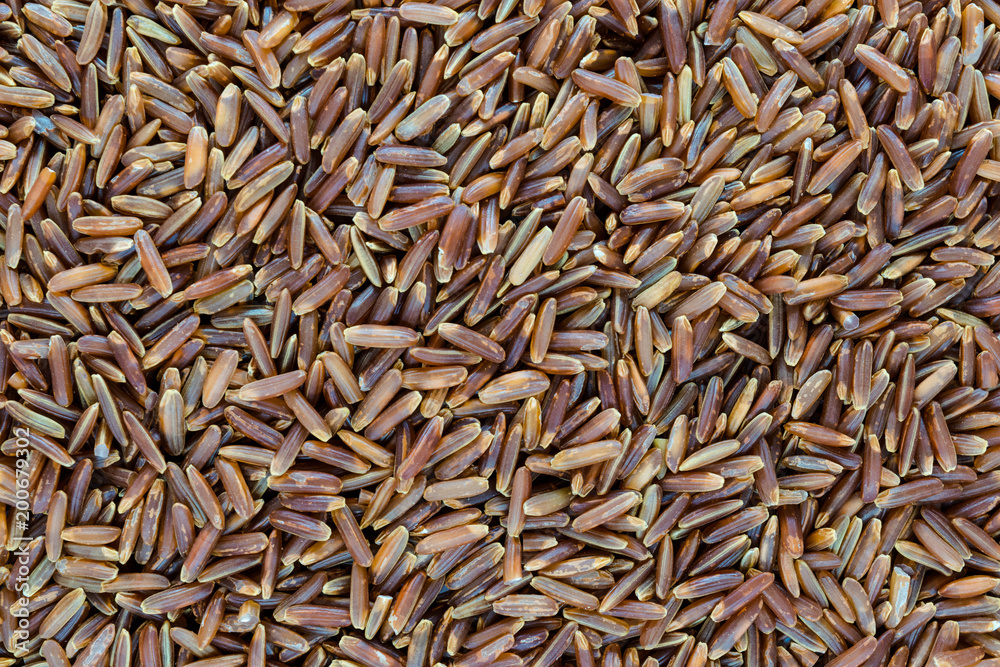 Very Sharp and Clear Background Surface of Red Rice Grains