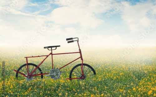Bicycle on a flower field © olegkruglyak3