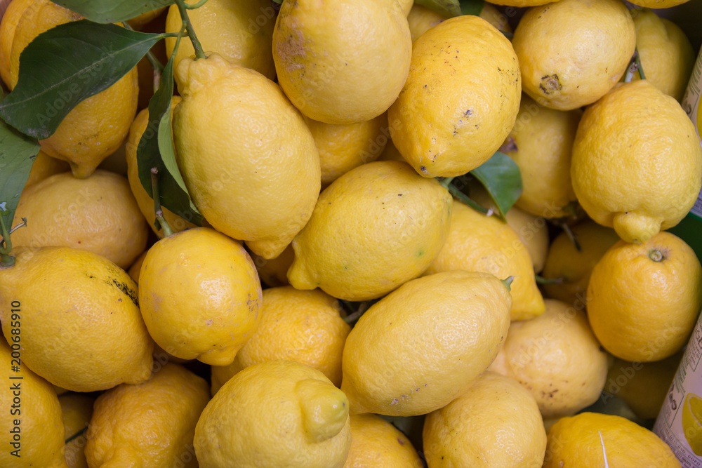Zitronen in Limone sul Garda, Italien