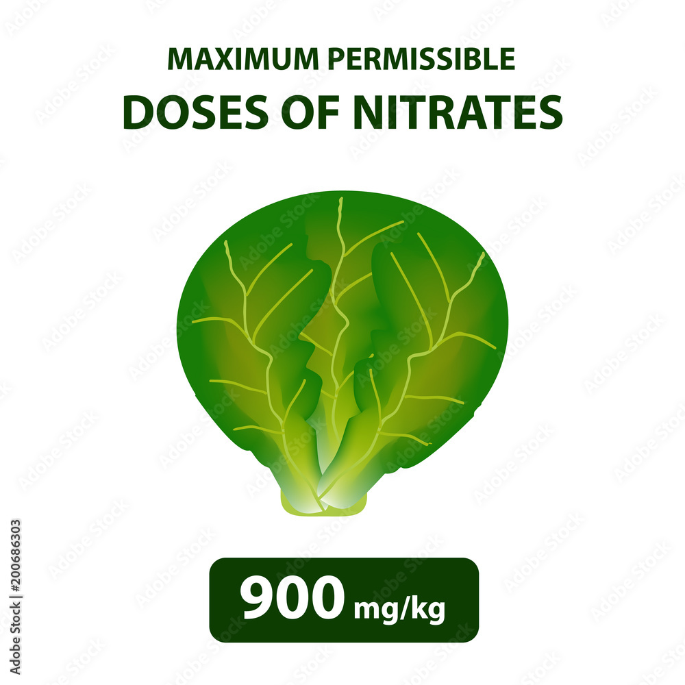 The maximum allowable dose of nitrates in cabbage. Nitrates in