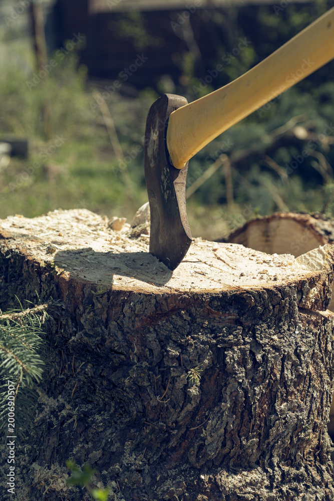 Tree trunk with axe, side view. Close up. Tree trunk with axe, side view. Close up.