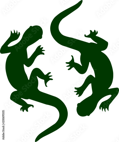 Geckos Lizards