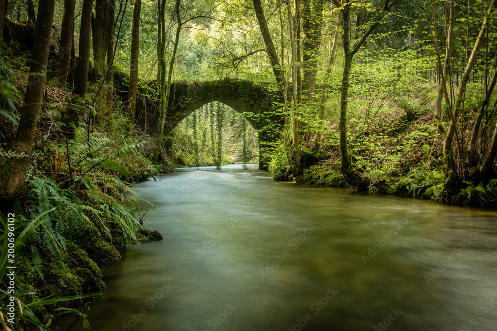 Obraz premium Old rock bridge over Filveda river