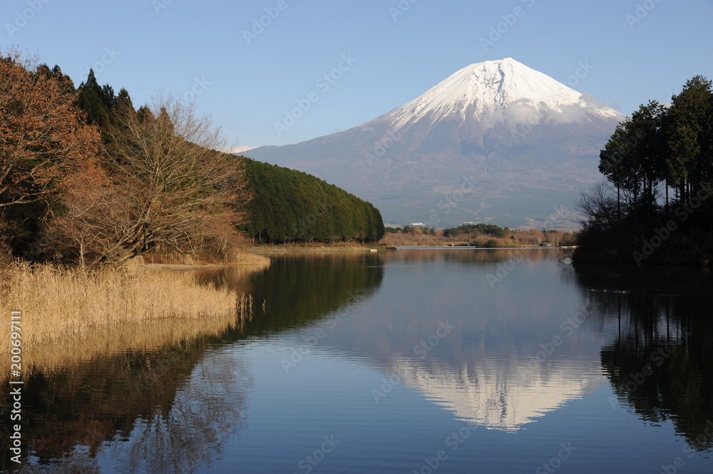 mt.fuji