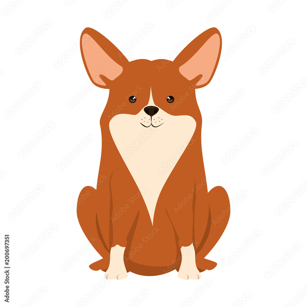 cute dog breed character vector illustration design cute dog breed character vector illustration design