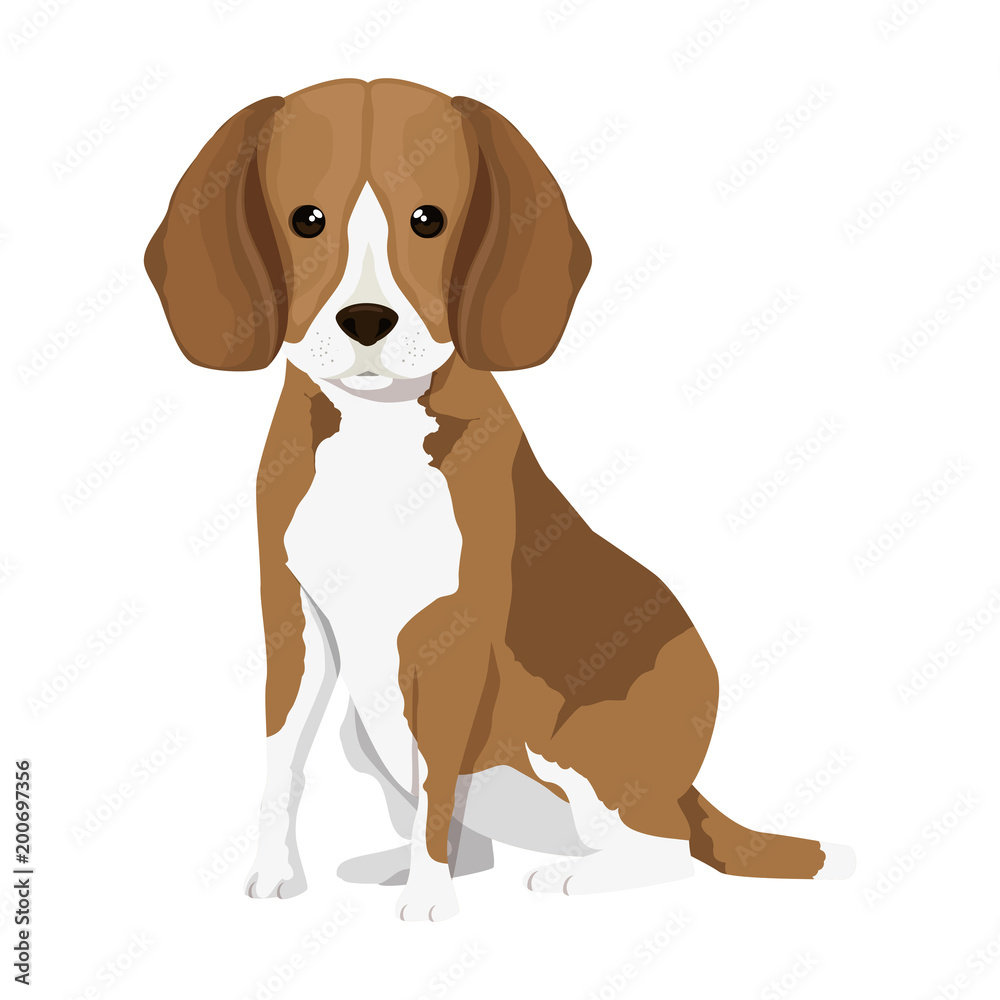 cute dog breed character vector illustration design