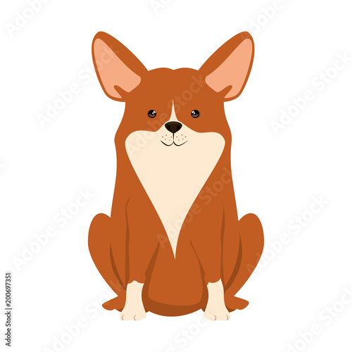 cute dog breed character vector illustration design