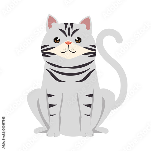 cute cat mascot character vector illustration design