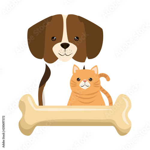 cute dog and cat with bone characters vector illustration design