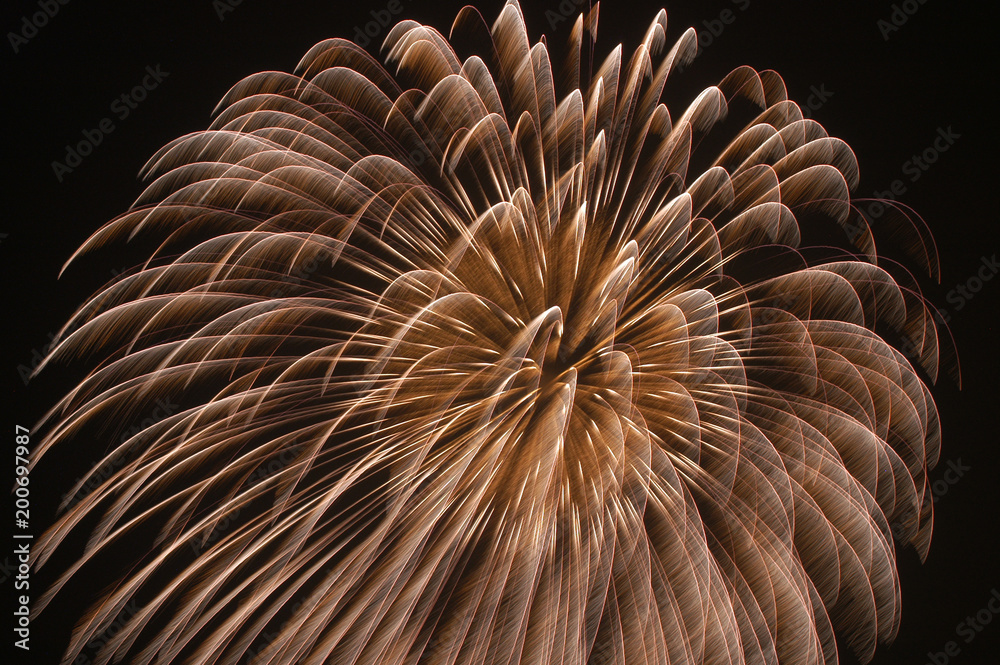 Obraz premium 夜空の花火