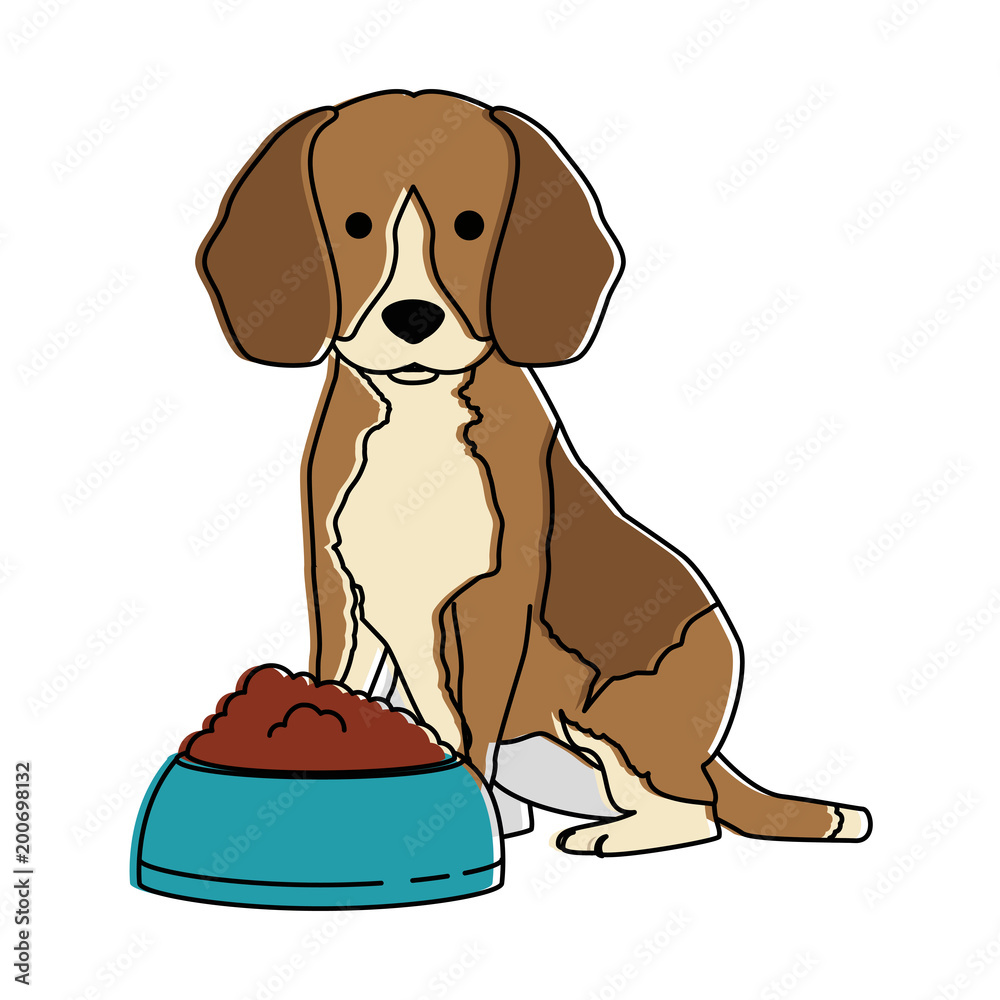 cute dog breed with dish food character vector illustration design