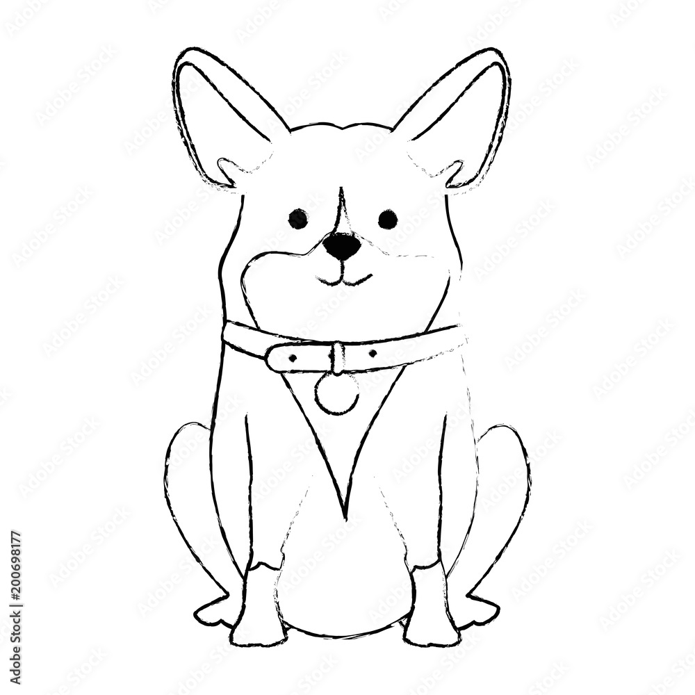 cute dog breed character vector illustration design