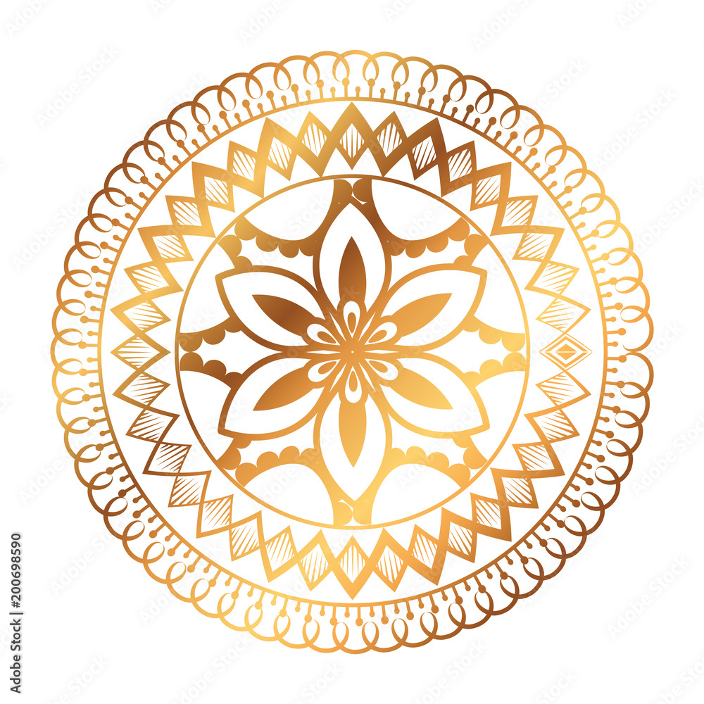 golden and circular mandala vector illustration design