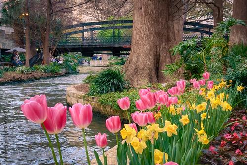 Spring Flowers on the Riverwalk