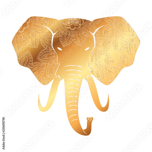 golden elephant with mandala pattern vector illustration design