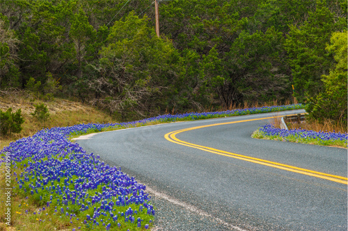 Bluebonnet Road