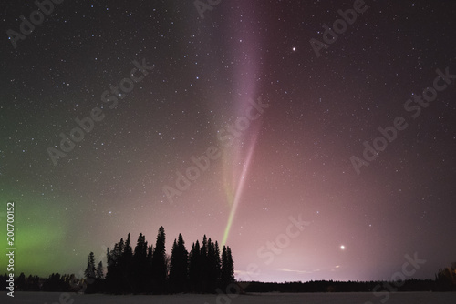 The Northern Lights and atmospheric phenomenon 'STEVE' which appears as a purple and green light ribbon in the sky. 'STEVE' is caused by a 25 km wide ribbon of hot gases at an altitude of 450 km photo