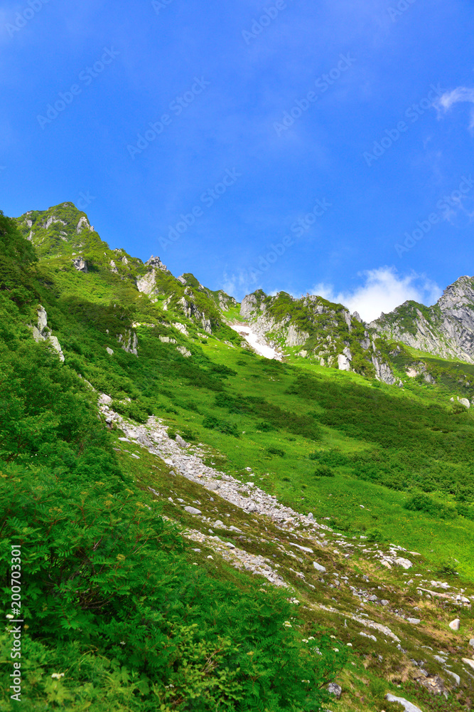 Naklejka premium 夏の千畳敷カール