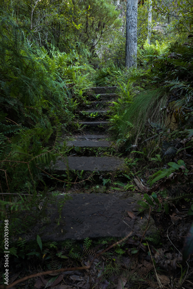 A walking trek in the Blue Mountains, Australia A walking trek in the Blue Mountains, Australia