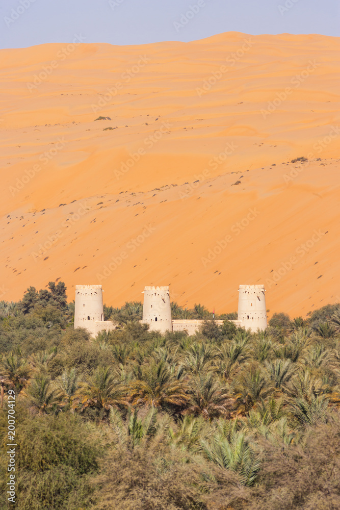 Arabian Fort in an Oasis