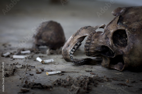 Human skull smoking a cigarette,Dead because of smoking,Stop Smoking Concept.