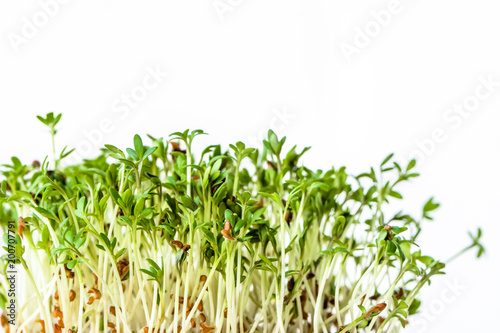 Fresh micro greens  seed sprouts for salad  healthy diet and clean eating concept