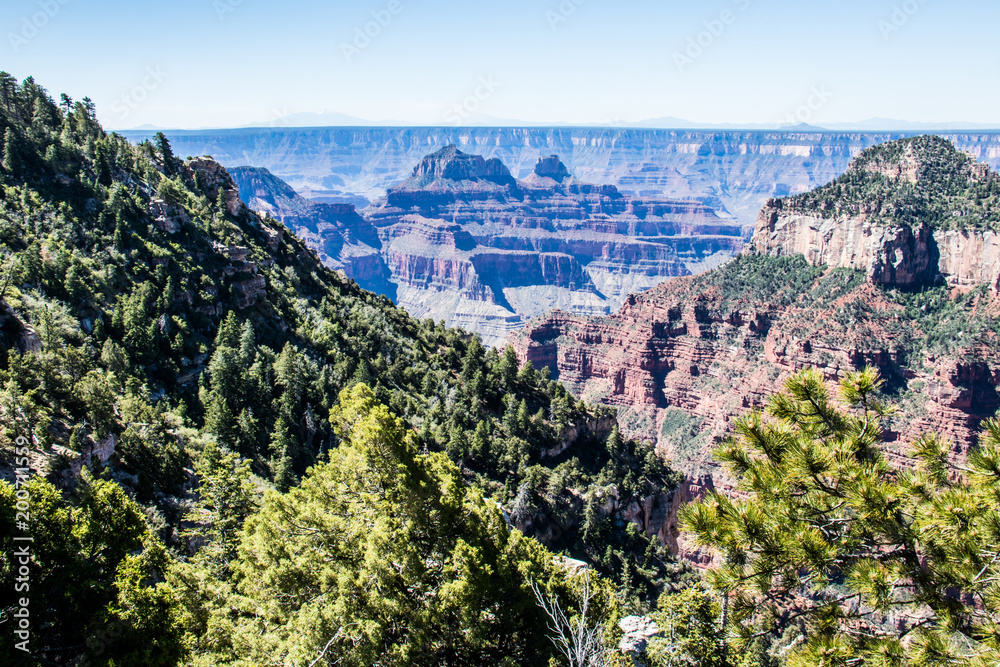 arizona grand canyon nature 