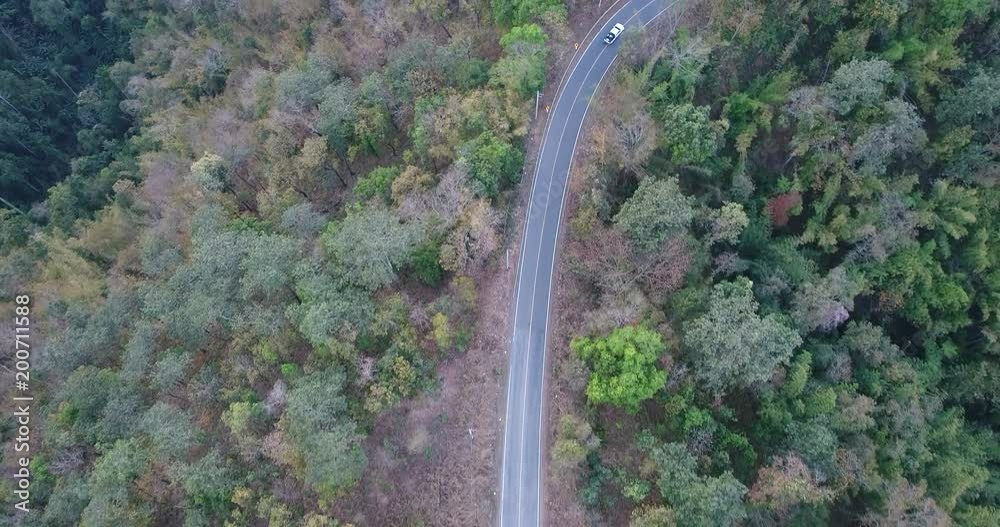 Aerial Shot Of Car Driving Through Forest Road Drone Travel Countryside Adventure Tree Slow Motion Autumn Nature Scenic Sunlight