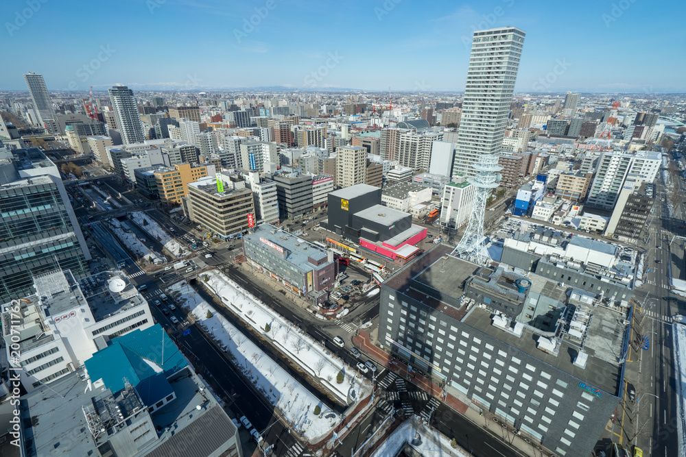 Fototapeta premium さっぽろテレビ塔から見る札幌市街の風景