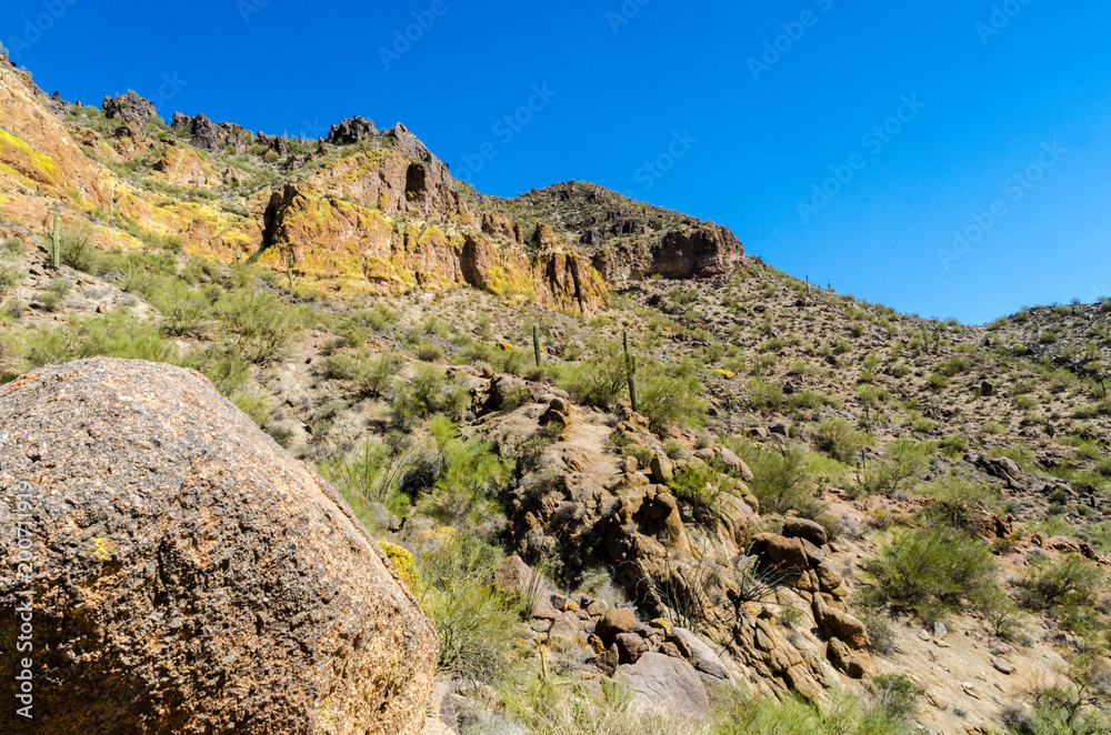 Arizona Hike