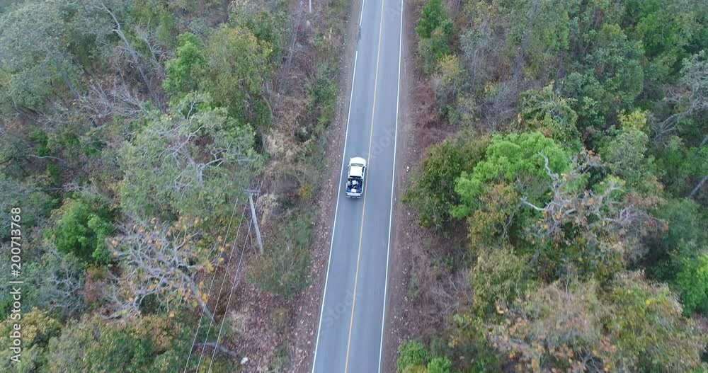 Aerial Shot Of Car Driving Through Forest Road Drone Travel Countryside Adventure Tree Slow Motion Autumn Nature Scenic Sunlight