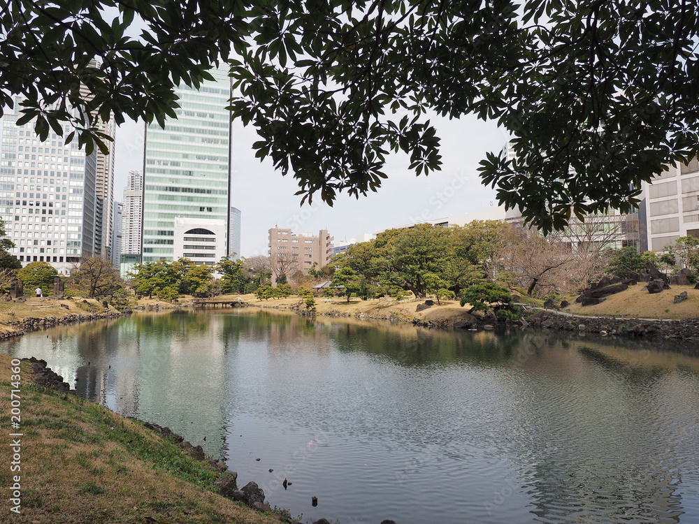 Fototapeta premium 浜離宮