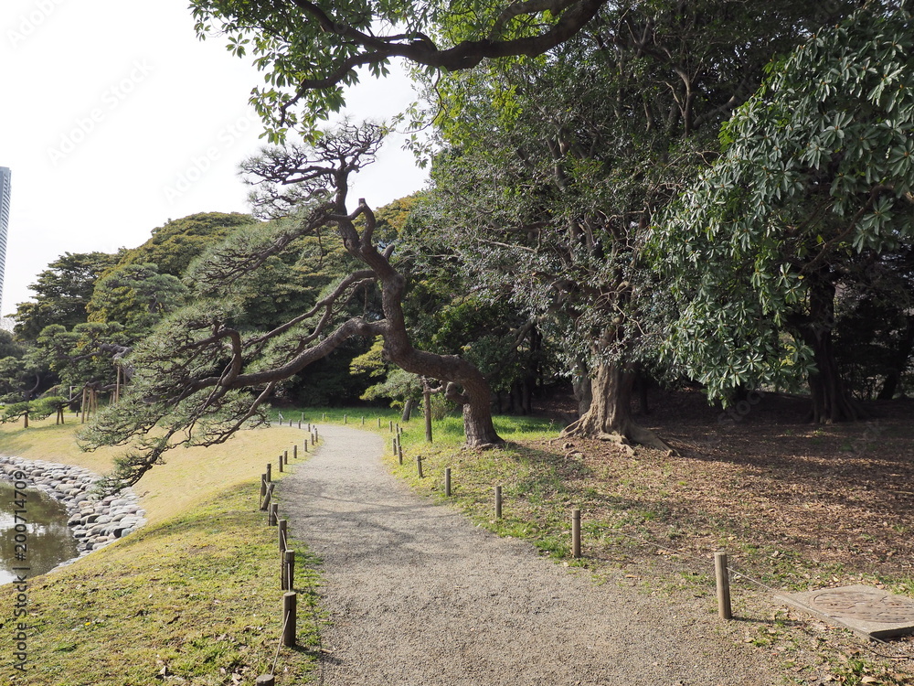 Fototapeta premium 浜離宮