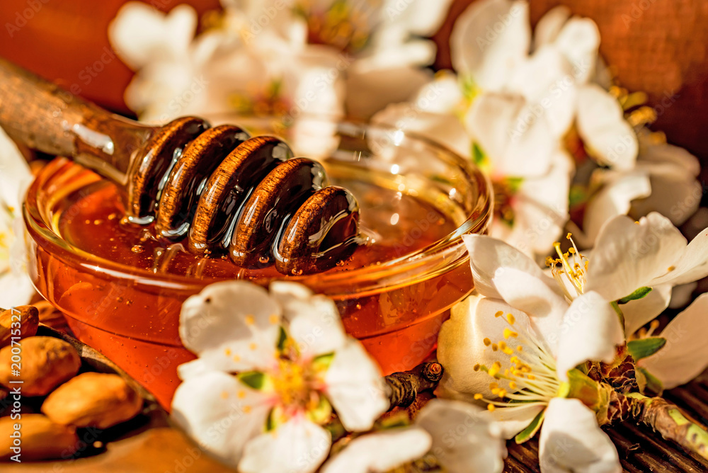 Almond honey, nuts and white flowers close Almond honey, nuts and white flowers close