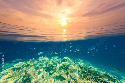 Underwater scene and split surface sunset sea