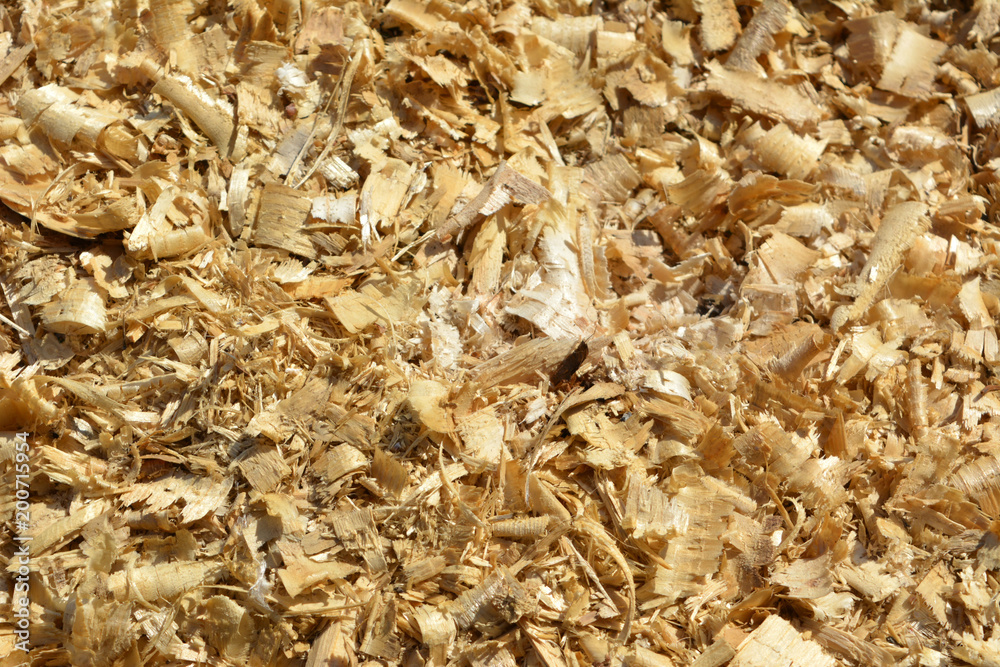 wooden sawdust, shavings, texture, background wooden sawdust, shavings, texture, background