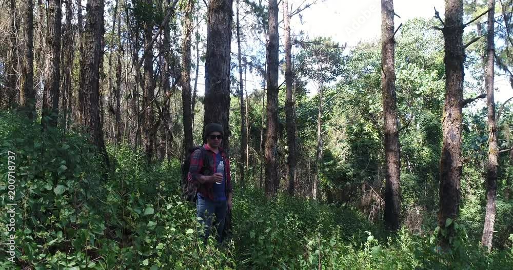 Young man hiking in tropical jungle with backpack. Male hiker with rucksack walking along forest trail.