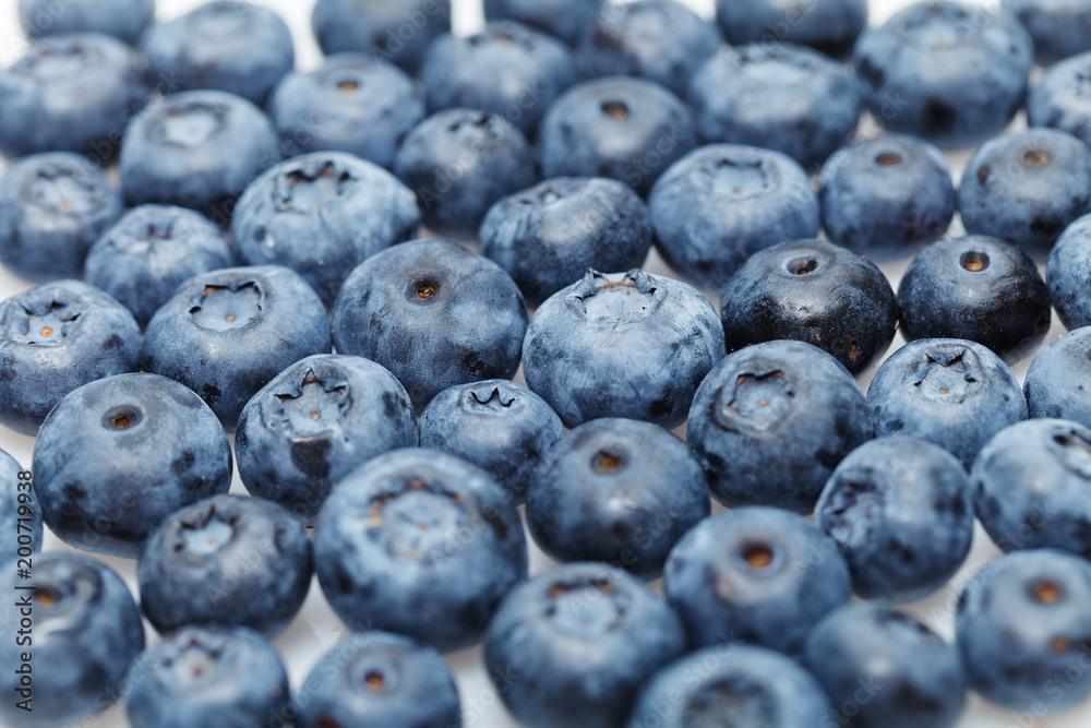 blueberry berries isolated on white background blueberry berries isolated on white background