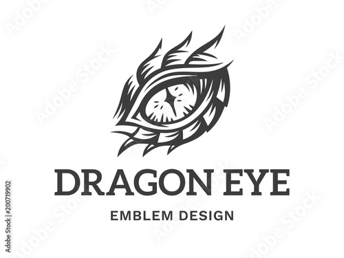 Vector eye of a dragon illustration, logotype, print, emblem design on a white background.