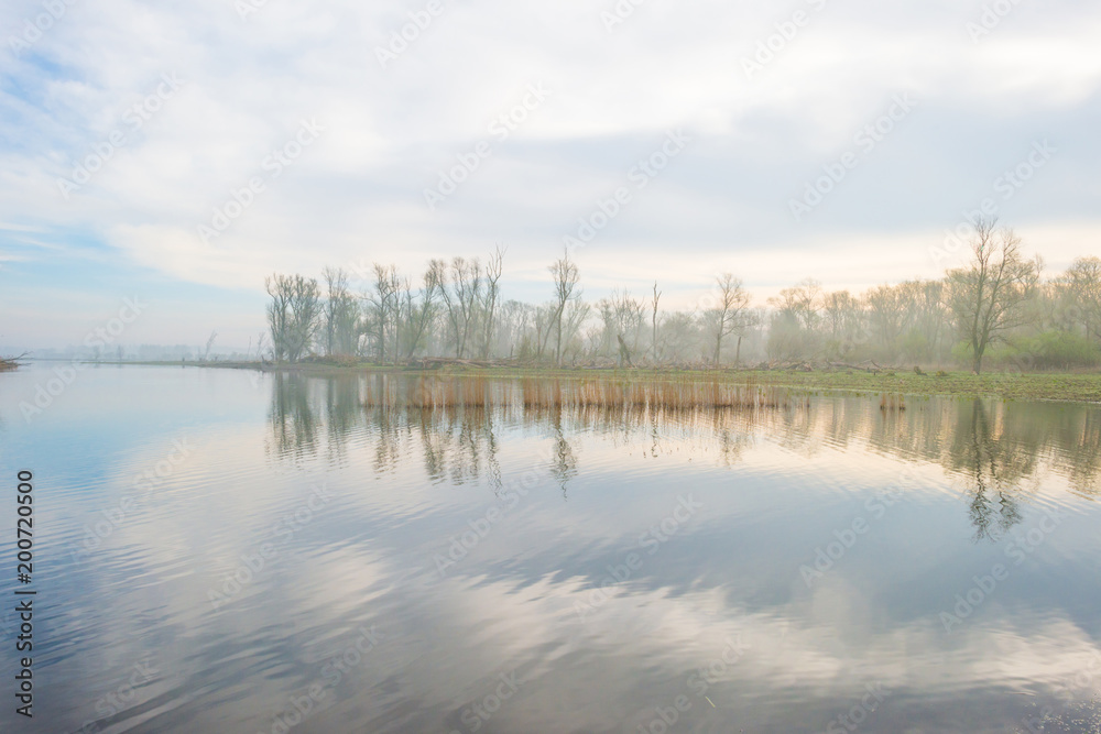 Fototapeta premium The shore of a foggy lake in sunlight in spring