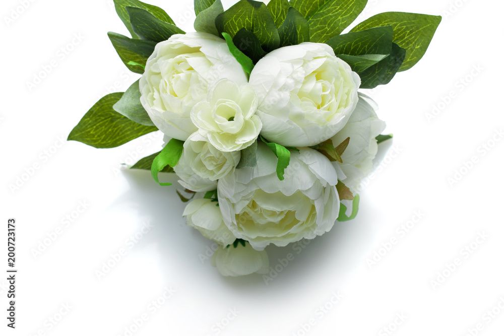 peony flowers isolated on white
